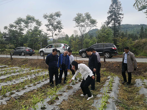 海利集團,長沙殺蟲劑,長沙光氣衍生物,長沙氨基酸保護(hù)劑,長沙鋰離子電池材料